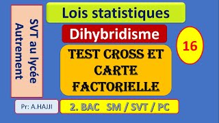 lois statistiques  Dihybridisme Test cross et carte factorielle [upl. by Luo]