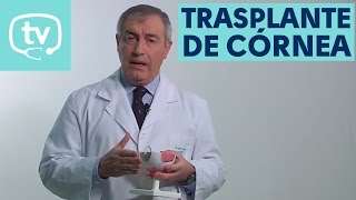 El trasplante de córnea [upl. by Coben896]