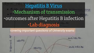 Hepatitis B Virus  Hepatitis B Virus Lab diagnosis with Notes  Outcomes After Hep B InfectionMBBS [upl. by Laurens]