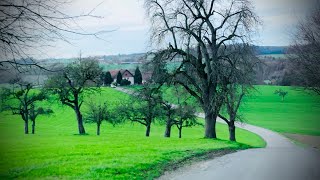 Drive from Ravensburg To Schalotten Germany 🇩🇪BadenWürttemberg18 November 2024 [upl. by Okihcas]