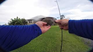 Fishing Chalmette 40 arpent wetland observatory New Orleans Louisiana [upl. by Karil602]