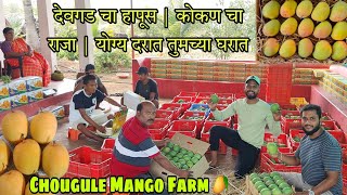 देवगड चा हापूस  कोकण चा राजा  योग्य दरात तुमच्या घरात  Chougule Mango Farm 🥭  RsV [upl. by Feucht]