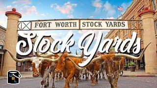 Fort Worth Stockyards  Cowboy Experience [upl. by Eliam]