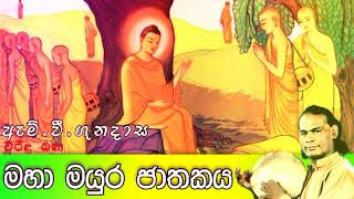 මහා මයුර ජාතකය  Viridu Bana  M V Gunadasa [upl. by Ama]