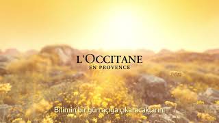 L’Occitane I Immortelle Reset Overnight Serum [upl. by Ssyla]