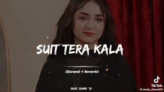 suit tera Kala Kala full song [upl. by Navar]