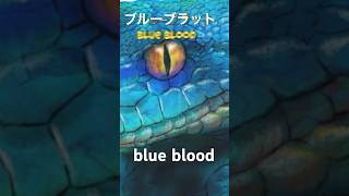 shorts ブルーブラッド１Blue Blood 1 [upl. by Ecaidnac]