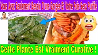 Voici Un Remède Naturel Pour Purifier Votre foie naturellement Seulement Une Gorgée De Cette Boisson [upl. by Hareema]