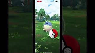 I got my 999th excellent throw done in Pokemon GO for the level 50 requirement shorts [upl. by Aniaz]