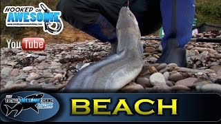 Shore fishing for BEGINNERS  Cod and Conger Eels  TAFishing Show [upl. by Ahsiri]