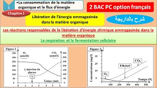 les réactions responsables de la libération dénergie emmagasinée dans la matière organique partie 1 [upl. by Ikceb519]