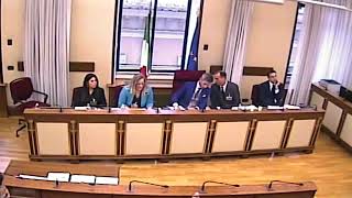 Commissione Covid audizione di Sabrina Gualini Comitato familiari vittime  8 Ottobre 2024 [upl. by Thain]