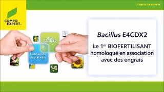 COMPO EXPERT  Fonctionnement du Bacillus E4CDX2 [upl. by Pettit]