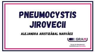 Pneumocystis jirovecii [upl. by Alissa]