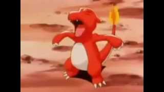 Ashs Charmeleon Evolves Into Charizard [upl. by Zoes]