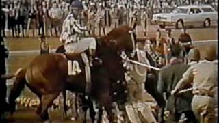 SECRETARIAT  1973 Kentucky Derby  Part 4 CBS [upl. by Wickman279]