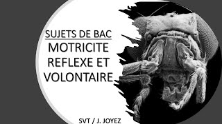 SUJETS BAC Motricité 2 [upl. by Llertrac]