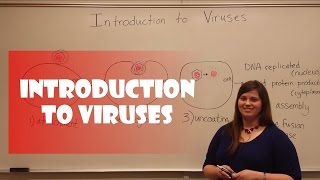 Introduction to Viruses [upl. by Nyleve]