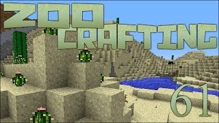 Hidden Desert Gems 🐘 Zoo Crafting Episode 61 [upl. by Yelac]