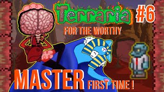 Terraria  For The Worthy Master  EP6  Brain Is love Brain Is Life [upl. by Atikihs]