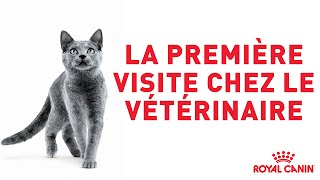 La première visite du chaton chez le vétérinaire⎜ROYAL CANIN® [upl. by Ocisnarf379]