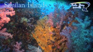 Similan amp Surin Islands introduction video Similan Diving Safaris [upl. by Imik]