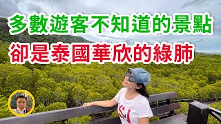 泰國華欣旅遊冷門非網紅非打卡景點，多數遊客不知道的班武裡森林公園——華欣的綠肺  PranBuri Forest Park [upl. by May]