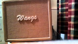 Wangs amplifier VT5 HW first listen [upl. by Aehsal]