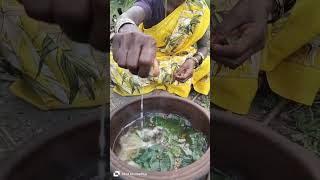 quotNamma Patti Vethalai Kashayam A Herbal Drink for Cold Reliefquot shortsfeed trending shorts [upl. by Juan]