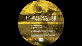 Fabio Bacchini  Walking In CirclesFrankie J Remix [upl. by Ateloj]