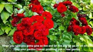 Rose Garden Lyrics Lynn Anderson [upl. by Fallon]