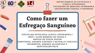 COMO FAZER UM ESFREGAÇO SANGUÍNEO [upl. by Anaeda]