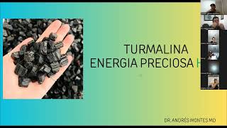 💎 Turmalina  Piedra Energética  Dr Andrés Montes  HGW ⚡ [upl. by Phemia706]