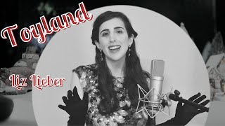 quotToylandquot  Liz Lieber Official Video [upl. by Erv]