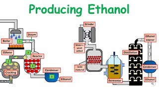 GCSE Chemistry Science Producing Ethanol Revision [upl. by Ttenaej197]