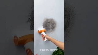 clean the wall fast 🤯三 New Viral Gadgets Smart Appliances Kitchen UtensilsHome Inventions shorts [upl. by Aracaj559]