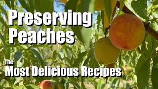 Versatile delicious and decadent PEACH recipes that you can preserve and HOW to use them [upl. by Mychal]