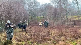 Spaniel championship 2023 Dave Templars Second run with FTCH Sedgewood Poppy Of countryways [upl. by Chute135]