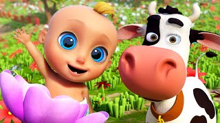 🐮La Vaca Lola 🐄  Conejitos dormilones 🐰💤 Canciones Infantiles para niños [upl. by Jenni]