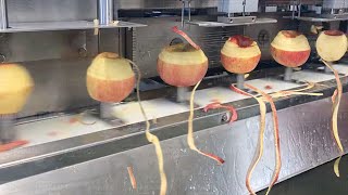 Inside Massive Apple and Juice Harvesting and Processing Factory [upl. by Rodi]