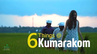 6 Interesting Things to do in Kumarakom  Responsible Tourism Kerala [upl. by Ahsikin]