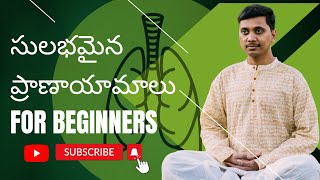 సులభమైన ప్రాణాయామాలు  Pranayama in telugu  Pranayama cheyatam ela [upl. by Yanej]