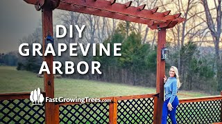 How to Build a Garden Arbor  DIY Muscadine Grapevine Arbor and Pergola [upl. by Eesyak]