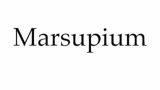 How to Pronounce Marsupium [upl. by Eelyak]