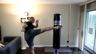 Free standing punching bag adults with suction cup for apartments Dripex [upl. by Schreiber328]