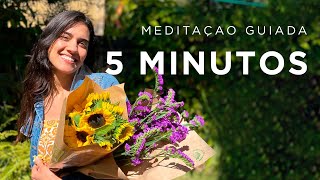 Meditação Guiada  5 MINUTOS [upl. by Anastice]