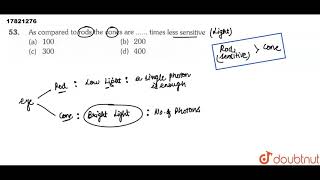 As compared to rods the cones are …… times less sensitive [upl. by Eirlav]