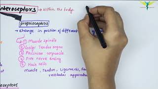 Properties of Receptors  Physiology  Laws  Part3\3 [upl. by Oznofla]