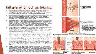 Immunsystemets andra försvar  Biologi 2 100 p [upl. by Fifine]