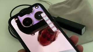 How to use inskam app for wifi endoscope on iPhone 13 Pro Max [upl. by Ayrad808]